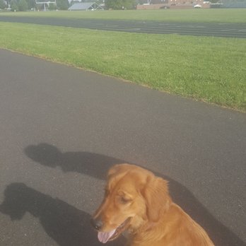Felida Park - Emma on a walk - Parks Near Me - Vancouver, Washington