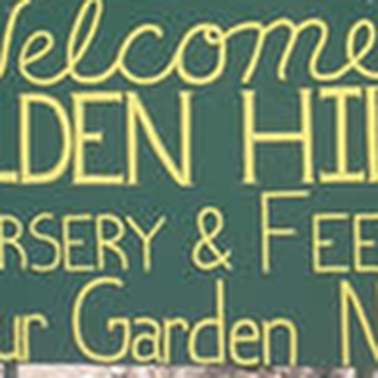 Golden Hill's Nursery - untitled - Nurseries & Gardening Near Me - Globe, Arizona Golden Hill's Nursery - untitled - Nurseries & Gardening Near Me - Globe, Arizona