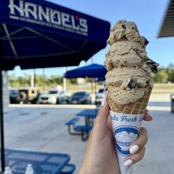 Handel's Homemade Ice Cream - Coffee chocolate chip.