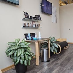 Premier Dermatology - Naperville