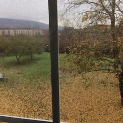Elizabeth Rest - Fall from out bedroom window.