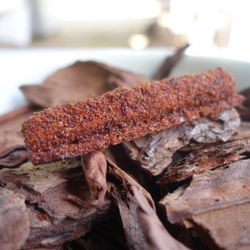 Daniel Berlin Krog - Bird Liver Mousse, Chestnut Flour, Anise, Cinnamon @endoedibles on Instagram for more