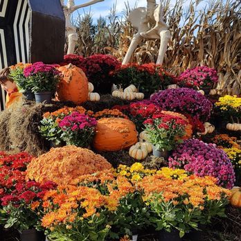 Maan Farms - Farmers Market Near Me - Abbotsford, British Columbia