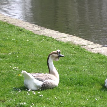 Unterer Teich - Lakes Near Me - Holzminden, NI