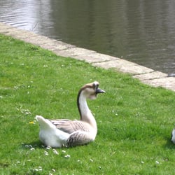 Unterer Teich