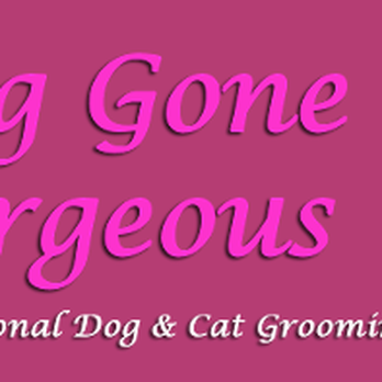 Dog Gone Gorgeous - Dog Gone Gorgeous logo - Pet Groomers Near Me - Canton, Massachusetts