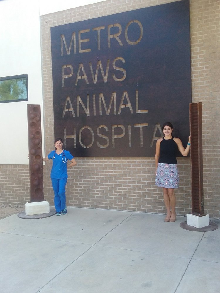 METRO PAWS ANIMAL HOSPITAL OAK CLIFF Updated October 2024 27