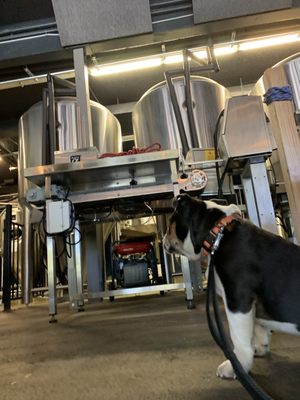 South Lake Brewing Company by null