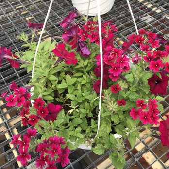 Horton's Nursery - Nurseries & Gardening Near Me - Winchester, Virginia