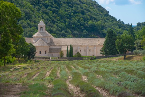 Abbaye Notre-Dame de Sénanque by null