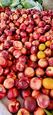 Photo of Laney College Flea Market - Oakland, CA, US.
