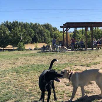 FIDO Field - Folsom Dog Park - Dog Parks Near Me - Folsom, California FIDO Field - Folsom Dog Park - Dog Parks Near Me - Folsom, California