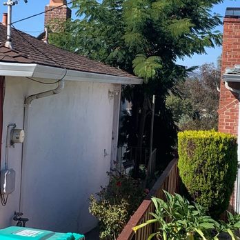 JMV Tree Service - Tree Services Near Me - Hayward, California