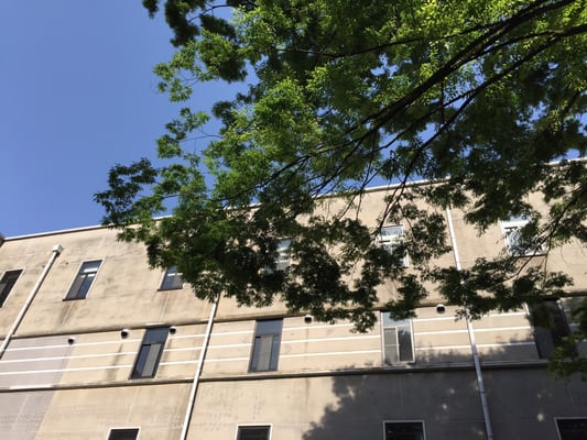 Kyoto University by null