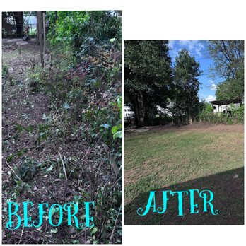 Landscaping and Tree Service Solutions - Lawn Services Near Me Landscaping and Tree Service Solutions - Lawn Services Near Me