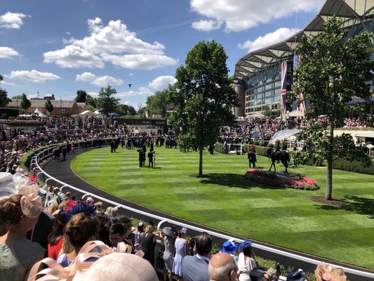 Ascot Racecourse by null