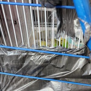 LA Fashion District on Yelp