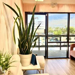 European Outpatient Surgery Center