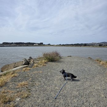 Point Isabel Regional Shoreline - Dog Parks Near Me - Richmond, California Point Isabel Regional Shoreline - Dog Parks Near Me - Richmond, California