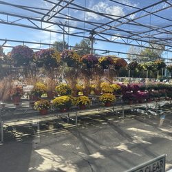 Stein's Garden & Home