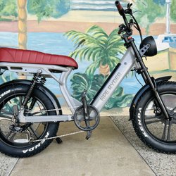 Go Ebikes - APE RYDER ebike