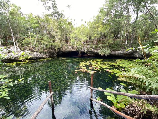 Two Eyes Cenote by null
