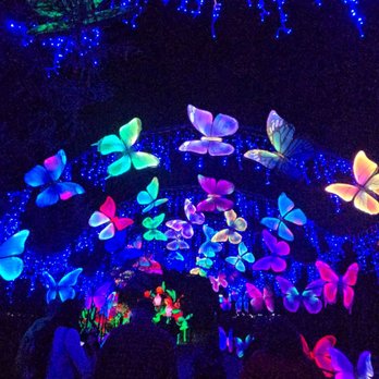 Tianyu Lights Festival - Festivals Near Me - Phoenix, Arizona Tianyu Lights Festival - Festivals Near Me - Phoenix, Arizona