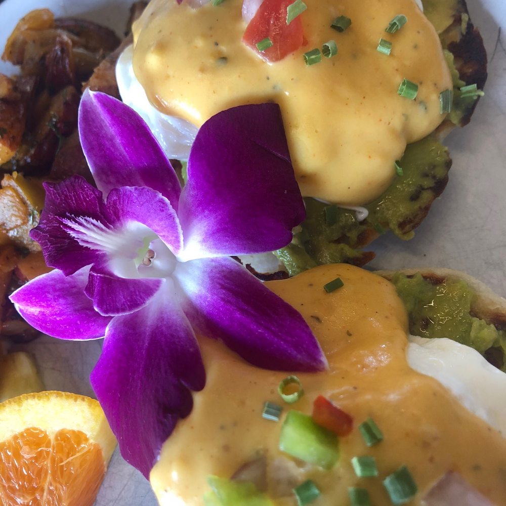 Cafe Volo - Special - Cafes Near Me - West Hampton Beach, New York