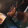TK Irish Pub