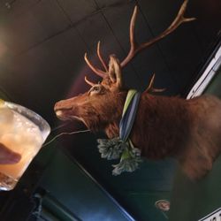 TK Irish Pub - Sharing my Paloma!