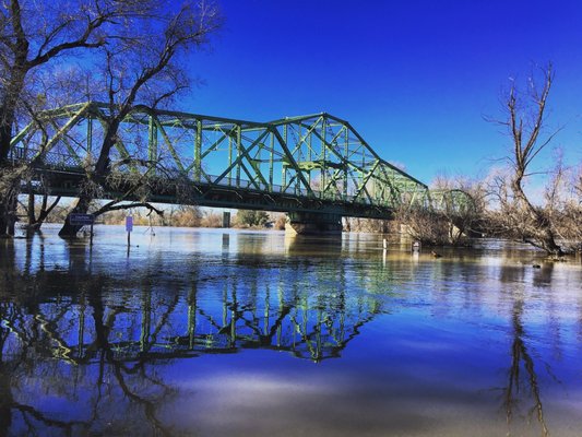 Tiscornia Park by null