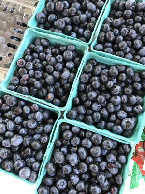 St Matthews Farmers Market by null