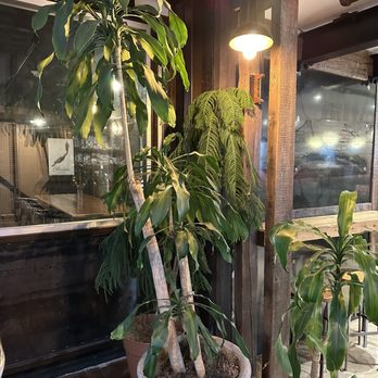Southdown Coffee - Glen Cove - Coffee Roasteries Near Me - Glen Cove, New York