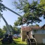 Photo of Barone's Tree Pros