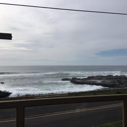 Ocean Odyssey Vacation Rentals - Whales and seal watching daily