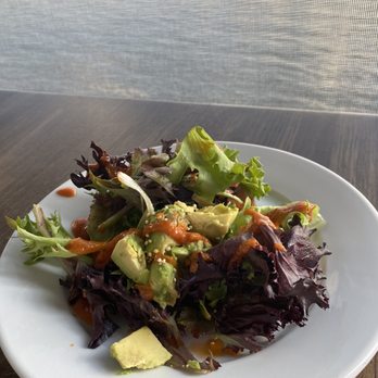 Rusty Pelican - Seafood Near Me - Tampa, Florida