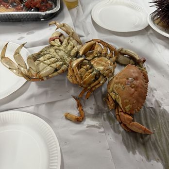 Quality Seafood - Fresh (Live) Santa Barbara Crab - Female - Seafood Markets Near Me - Redondo Beach, California