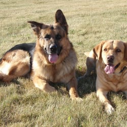 Cowboy Trail Kennels