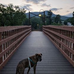 Oconaluftee Islands Park