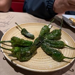 Jaleo - Pimiento Padron
