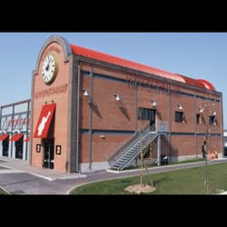 Hippopotamus