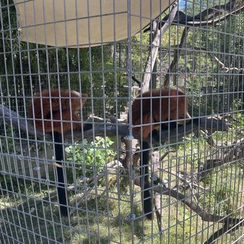 Safari West - Zoos Near Me - Santa Rosa, California