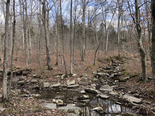 Shawnee National Forest by null
