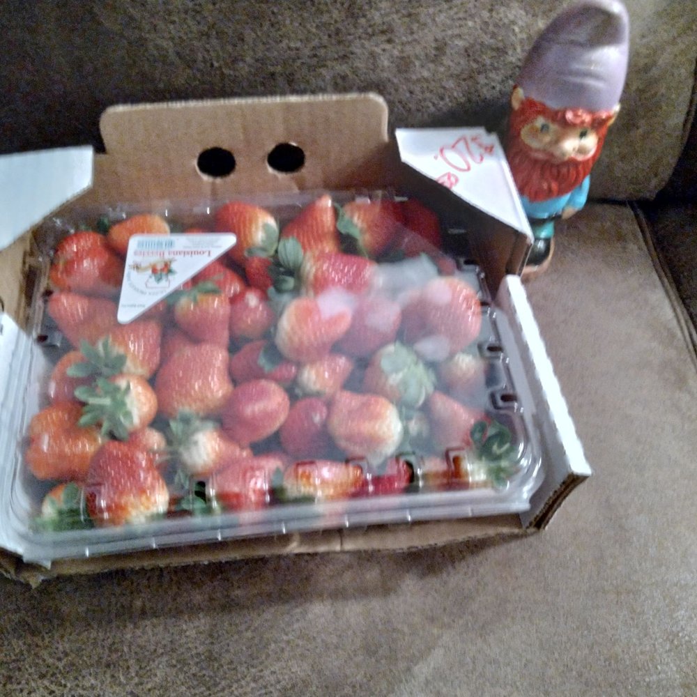 Cajun Fresh Market - Specialty Food Near Me - Raceland, Louisiana
