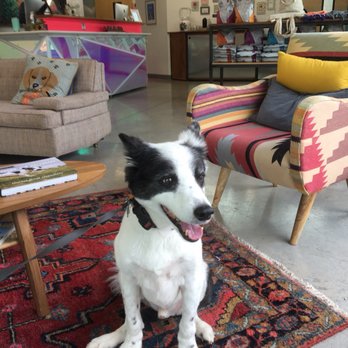 PAZ Veterinary South - Veterinarians Near Me - Austin, Texas PAZ Veterinary South - Veterinarians Near Me - Austin, Texas