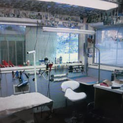Glenacres Boarding - Professional Grooming