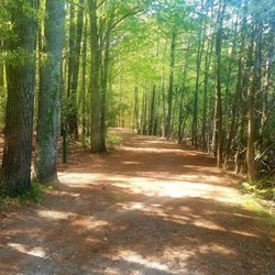 Harwood Mills Bike Trails