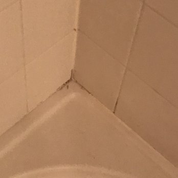 ZeroMold - Black mold removed. - Environmental Testing Near Me - Orem, Utah