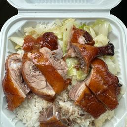 Roasted Duck Over Rice