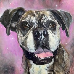 DKW Art Gallery & Studios - Commissioned pet portraits in any style.